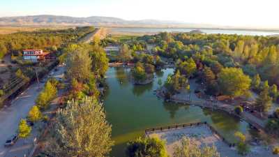 Yedikır Barajı Kuş Cenneti
